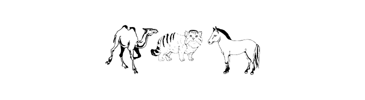 Djungle  Free Fonts Download