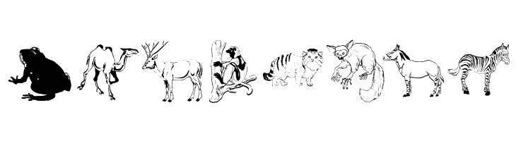 Djungle  Free Fonts Download