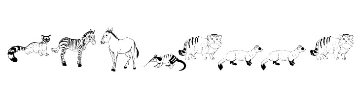 Djungle  Free Fonts Download