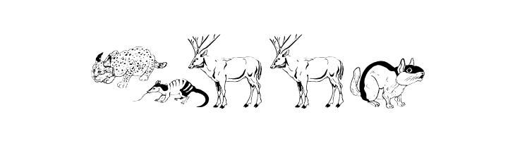 Djungle  Free Fonts Download