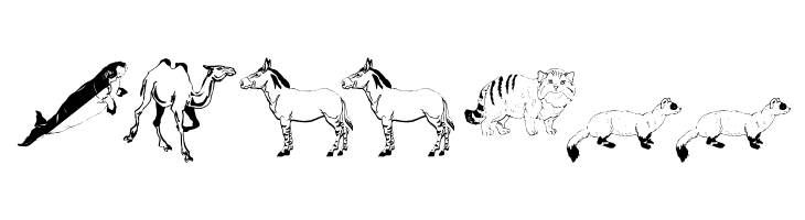 Djungle  Free Fonts Download