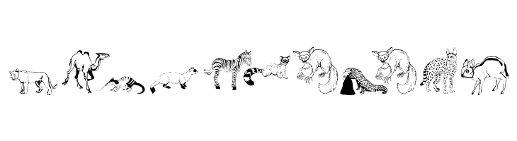 Djungle  Free Fonts Download