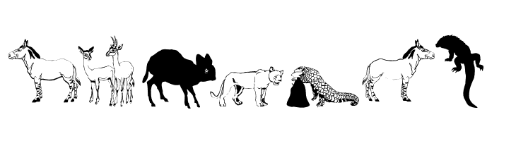 Djungle  Free Fonts Download