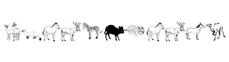 Djungle  Free Fonts Download