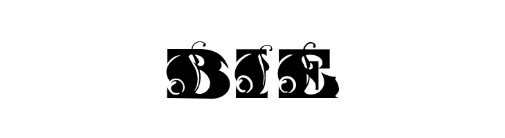 FantasticMF Initials  Free Fonts Download