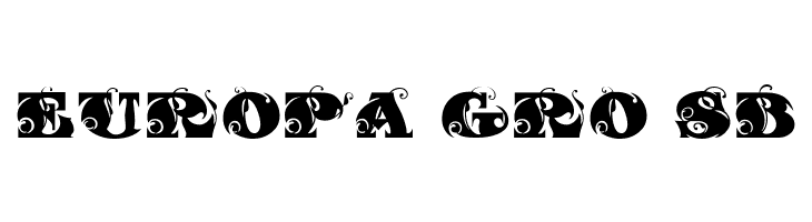 FantasticMF Initials  Free Fonts Download