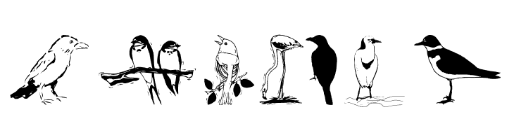 Piepmaetze2006  Free Fonts Download