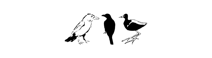 Piepmaetze2006  Free Fonts Download