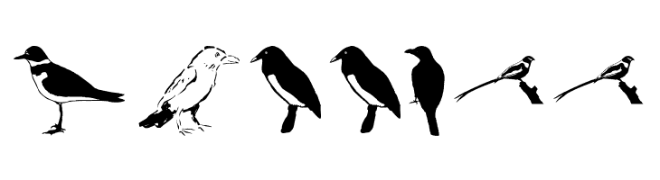 Piepmaetze2006  Free Fonts Download