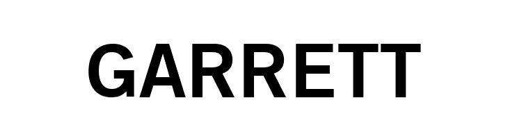 GoetheGothicBold  Free Fonts Download