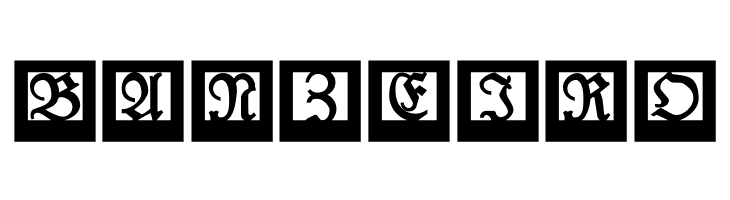 LufrakturBricks  Free Fonts Download