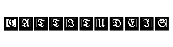 LufrakturBricks  Free Fonts Download