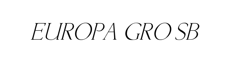 Lichtner Italic  Free Fonts Download