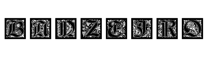 KaiserRotbartOneCaps  Free Fonts Download