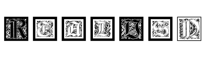 KaiserRotbartOneCaps  Free Fonts Download