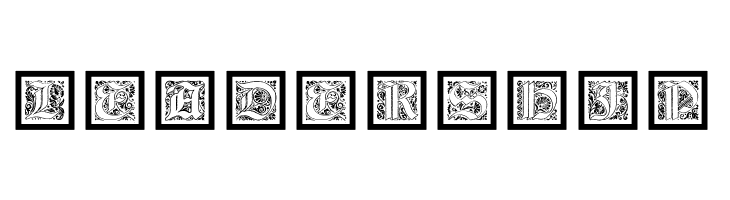 KaiserRotbartOneCaps  Free Fonts Download