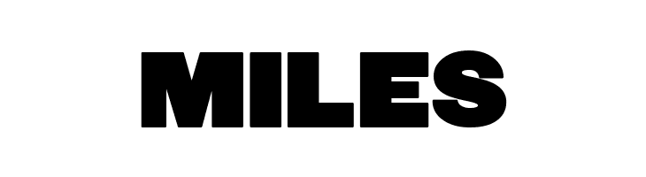 FatSansRound  Free Fonts Download