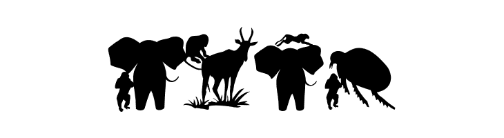 AnimalsMeetings  Free Fonts Download