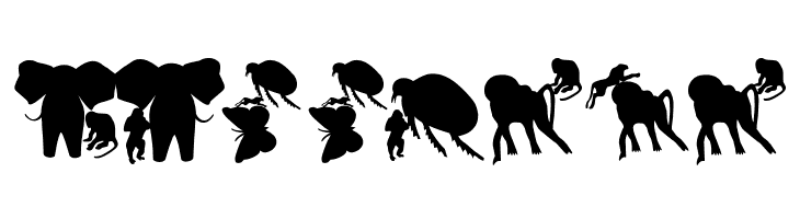 AnimalsMeetings  Free Fonts Download