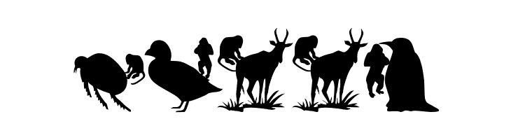 AnimalsMeetings  Free Fonts Download