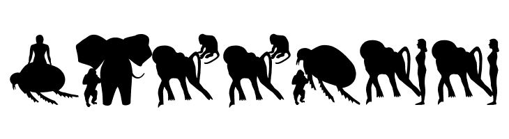 AnimalsMeetings  Free Fonts Download