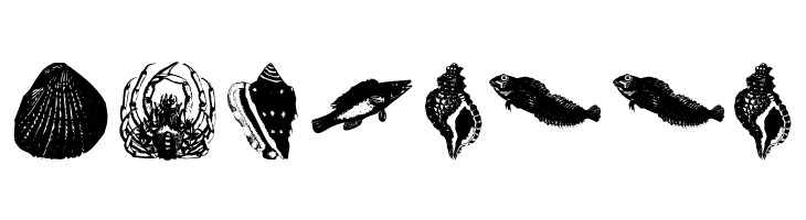 OldstyleZoo  Free Fonts Download