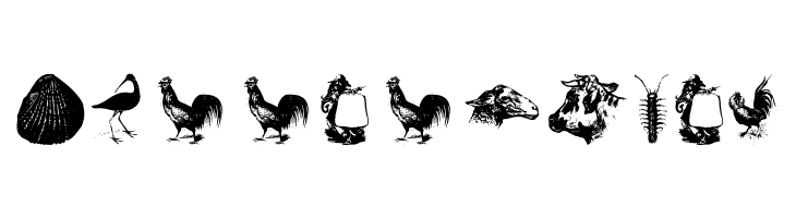 OldstyleZoo  Free Fonts Download