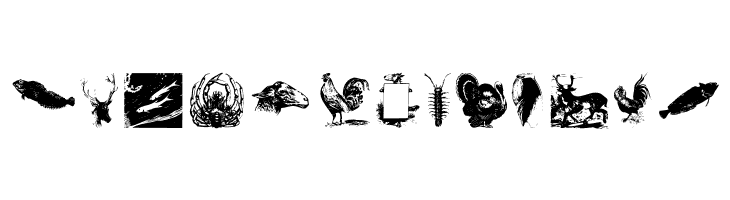 OldstyleZoo  Free Fonts Download