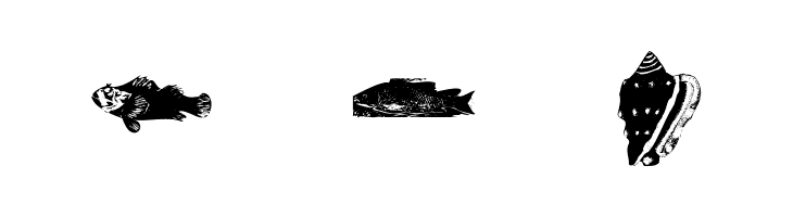 OldstyleZoo  Free Fonts Download