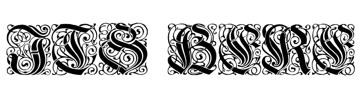 WieynkFrakturInitialen  Free Fonts Download