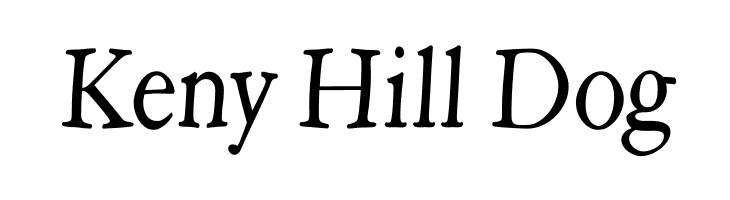 HopeRoundMedium  Free Fonts Download