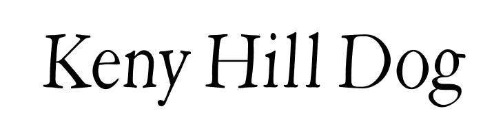 HopeRound  Free Fonts Download