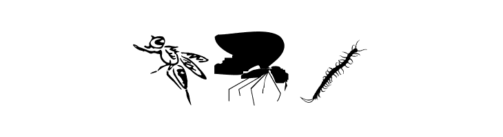 InsectsTwo  Free Fonts Download