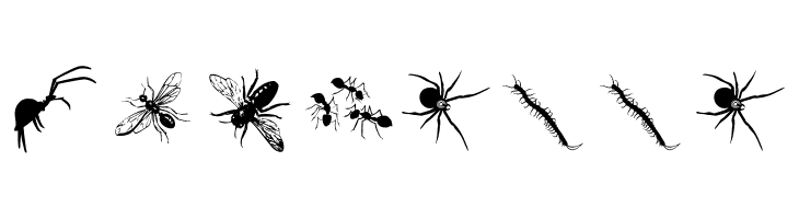 InsectsTwo  Free Fonts Download