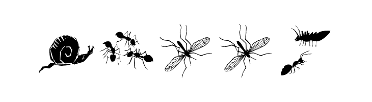 InsectsTwo  Free Fonts Download