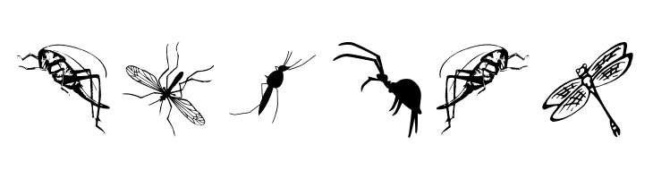 InsectsTwo  Free Fonts Download