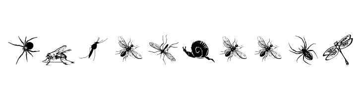 InsectsTwo  Free Fonts Download