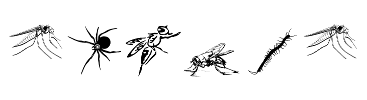 InsectsTwo  Free Fonts Download