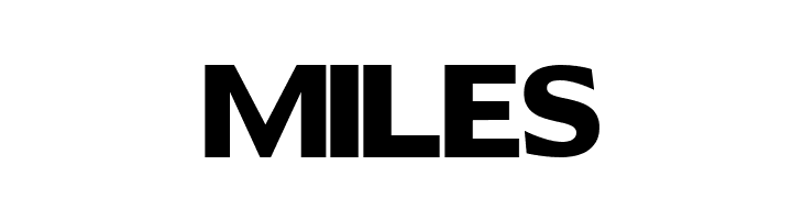 SansFat  Free Fonts Download