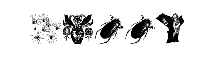 ManimalsUno  Free Fonts Download