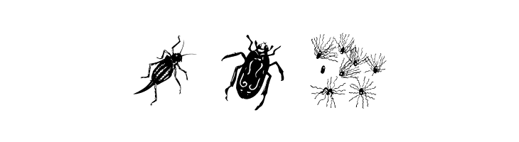 ManimalsUno  Free Fonts Download