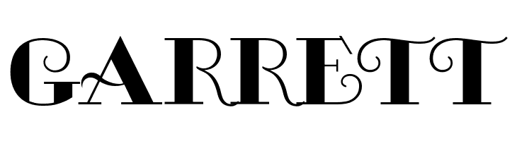 MichelleFLF-Bold  Free Fonts Download