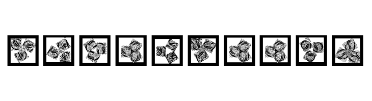 KaleidWieynckFrax  Free Fonts Download