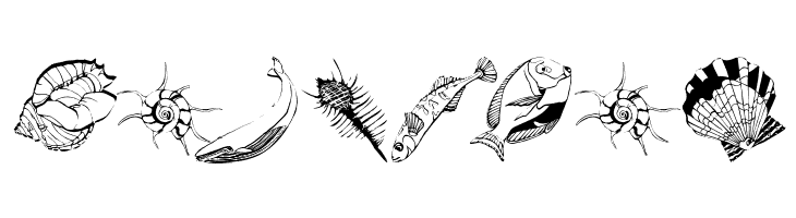 SwimmingBeautys  Free Fonts Download