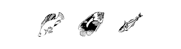 SwimmingBeautys  Free Fonts Download