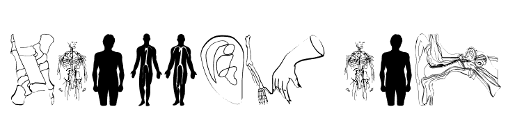 HumanInside  Free Fonts Download