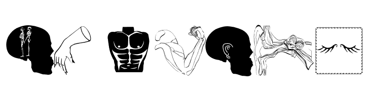 HumanInside  Free Fonts Download