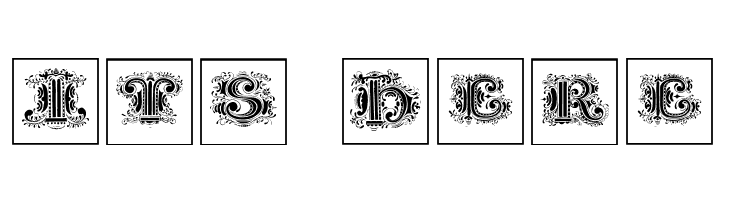 SilvestreInitialsSquares  Free Fonts Download