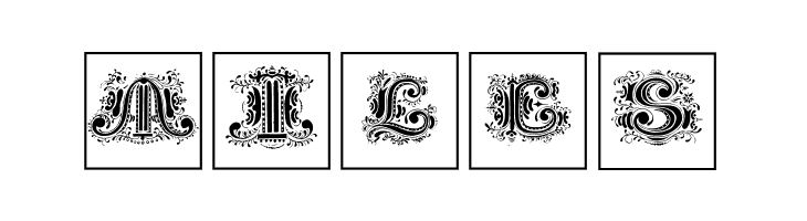 SilvestreInitialsSquares  Free Fonts Download