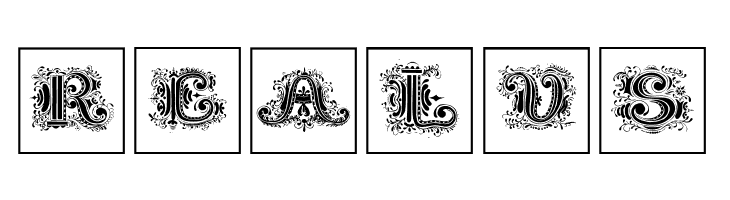 SilvestreInitialsSquares  Free Fonts Download